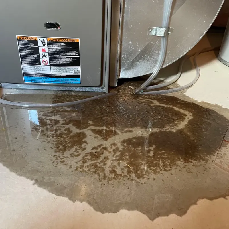 Appliance Leak Cleanup in Inkster, MI