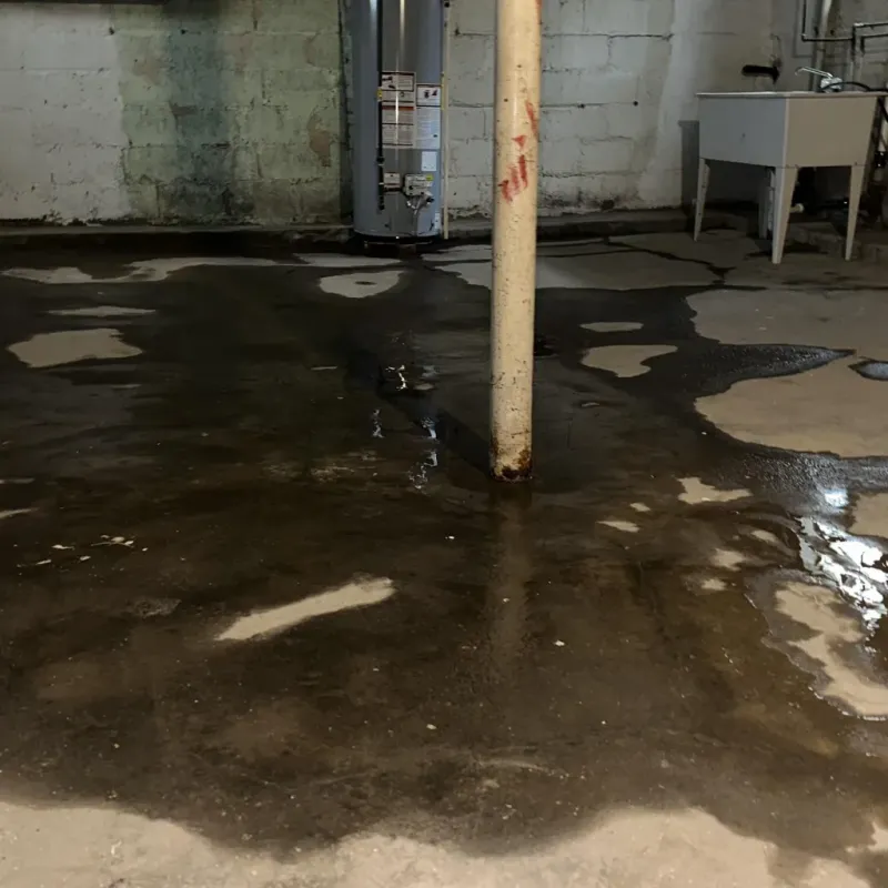 Emergency Water Extraction And Removal in Inkster, MI